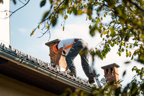 Best Residential Roof Replacement  in Albion, NE