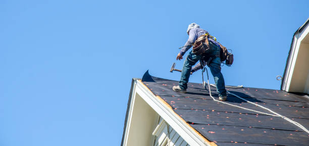 Roof Installation Near Me in Albion, NE